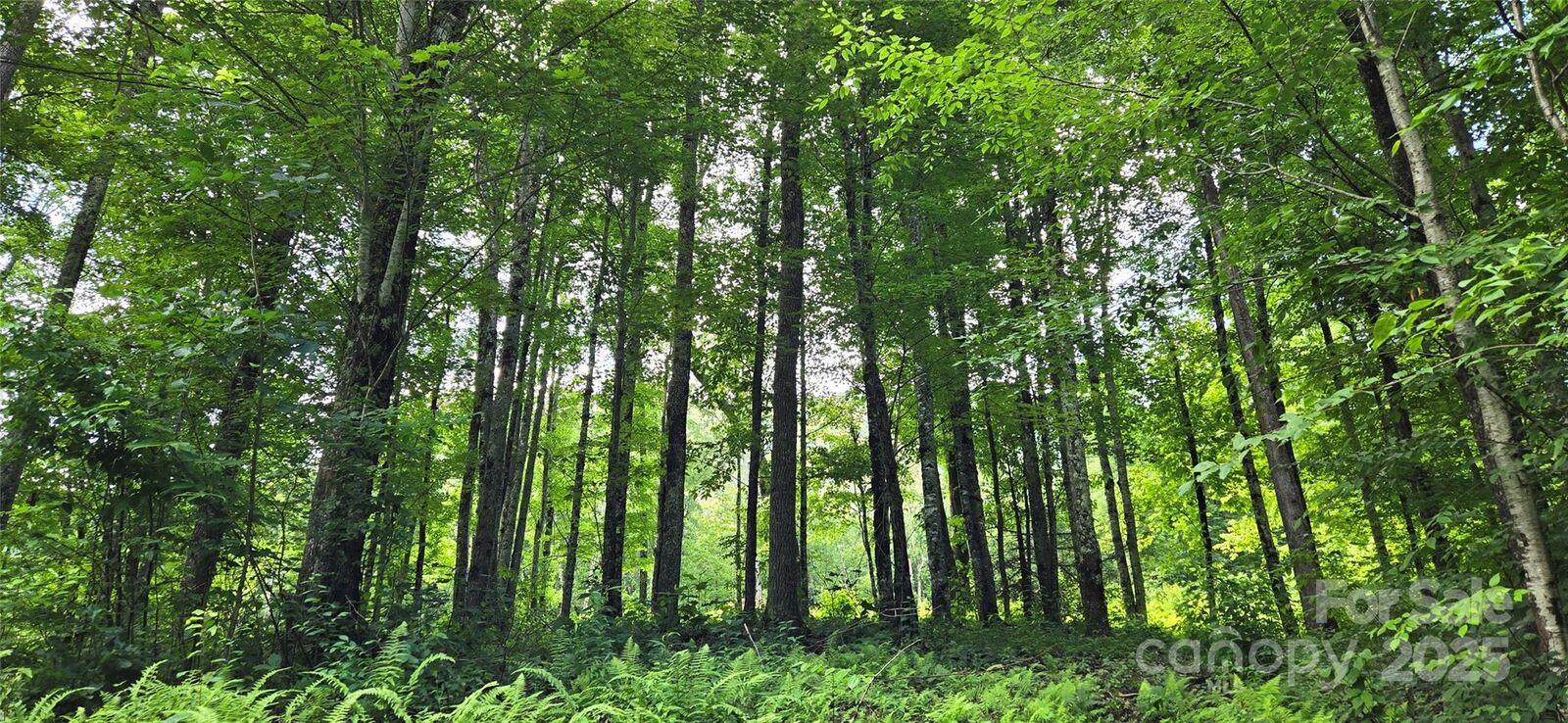 Property Photo:  108 Tenderfoot Trail 108 &Amp 109  NC 28751 