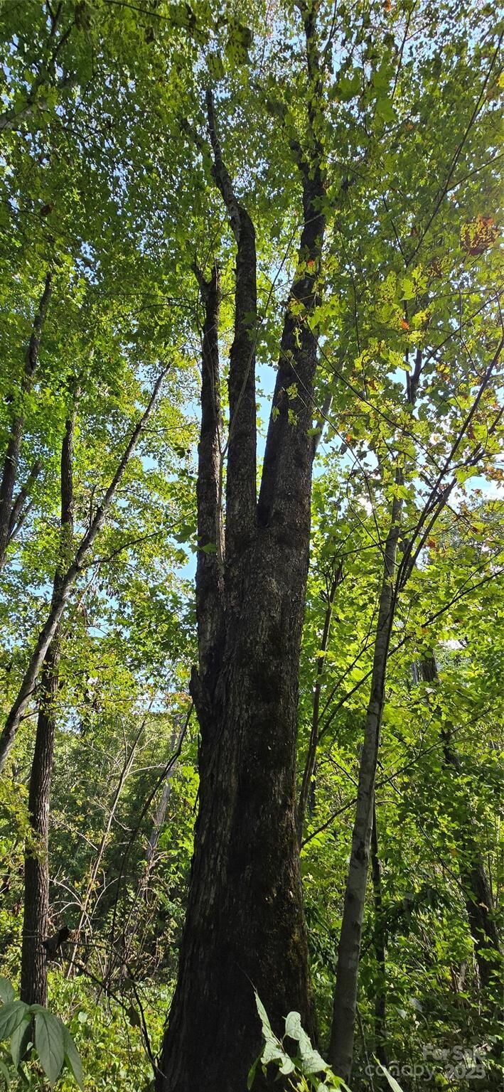 Property Photo:  108 Tenderfoot Trail 108 &Amp 109  NC 28751 