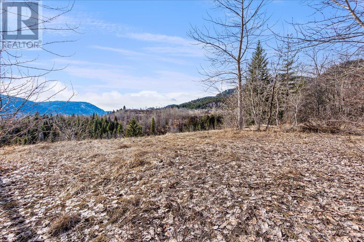 1220 37th Street  Castlegar BC V1N 3N1 photo