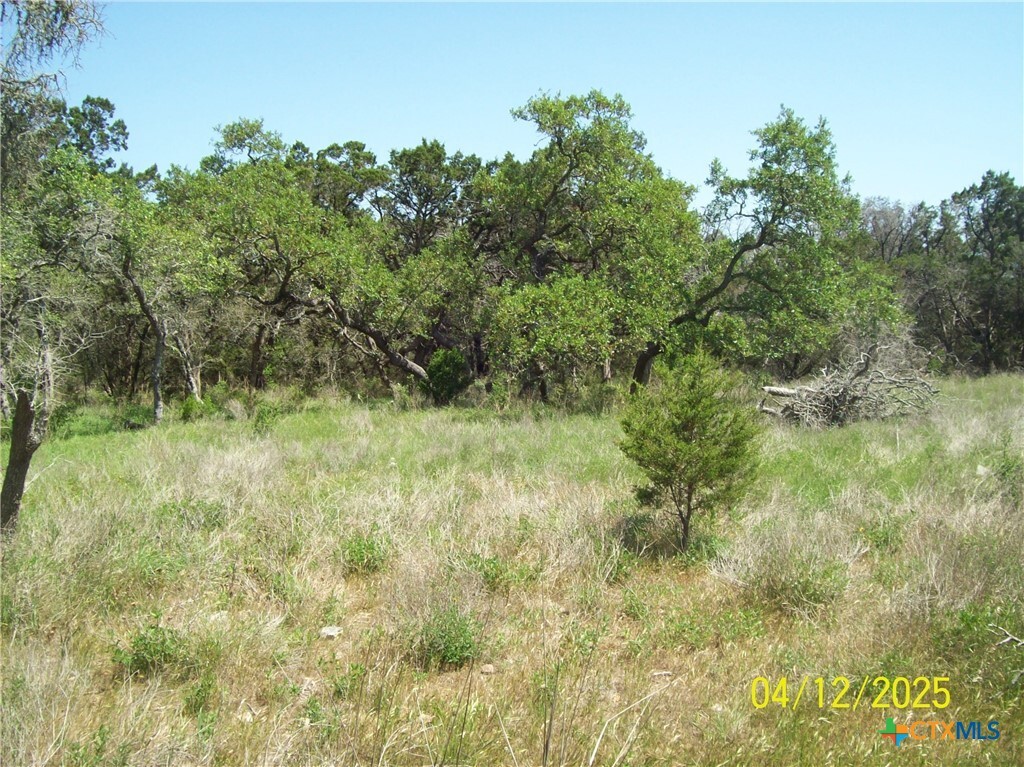 Property Photo:  3824 Wegner Road  TX 78132 