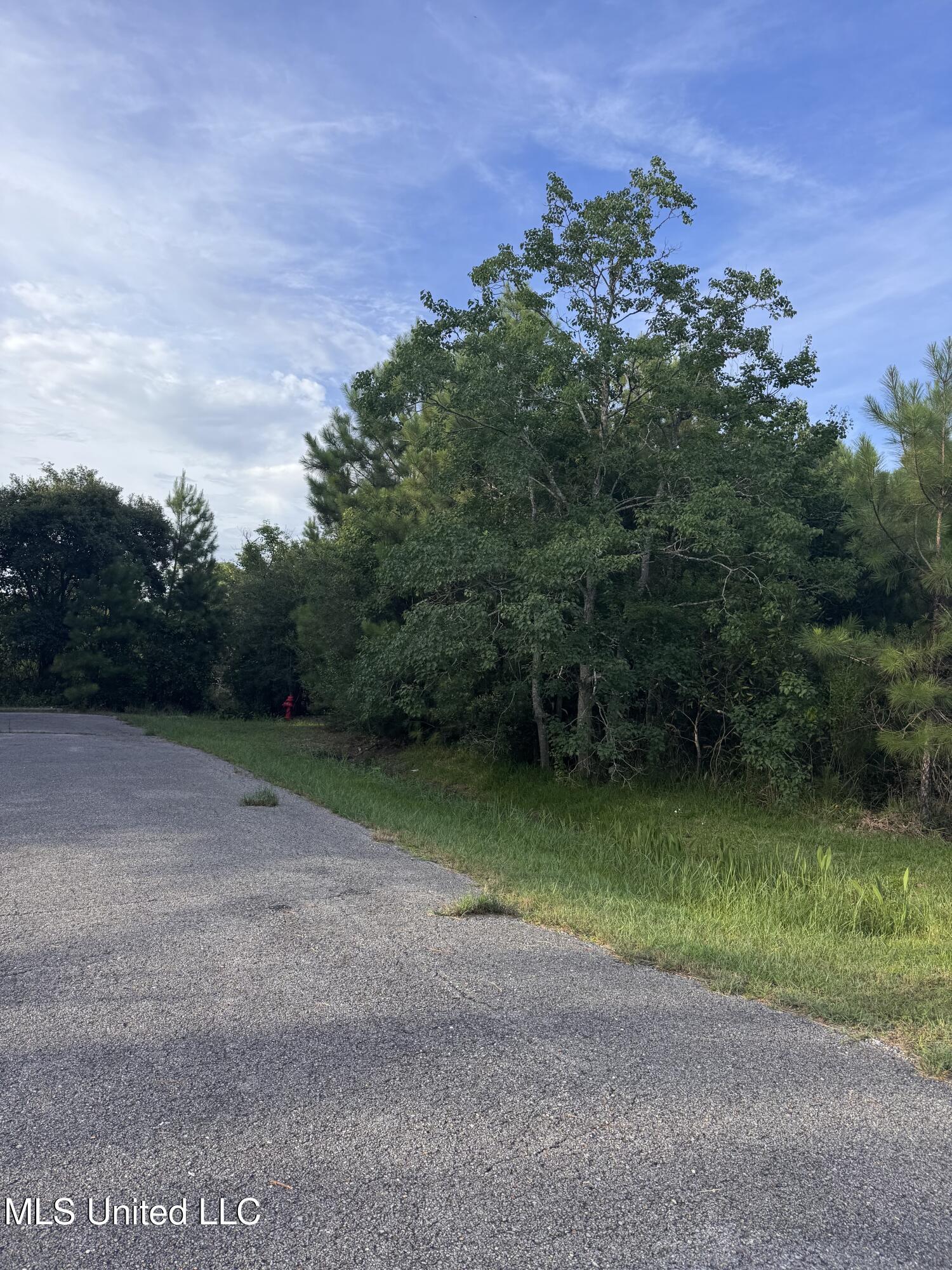 Property Photo: 10128 Peachtree Drive MS 39576