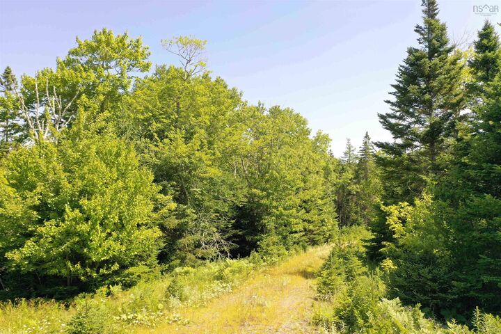Lot 1A-24 Maple Drive — photo 1