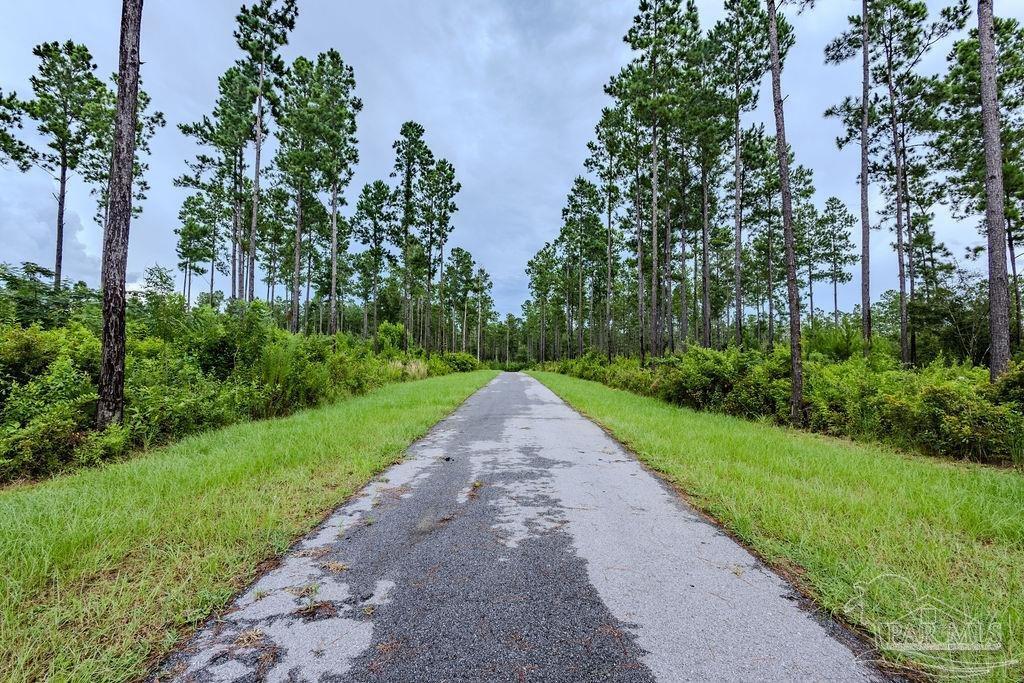 Property Photo: 54 Sage Forest Ln FL 32571