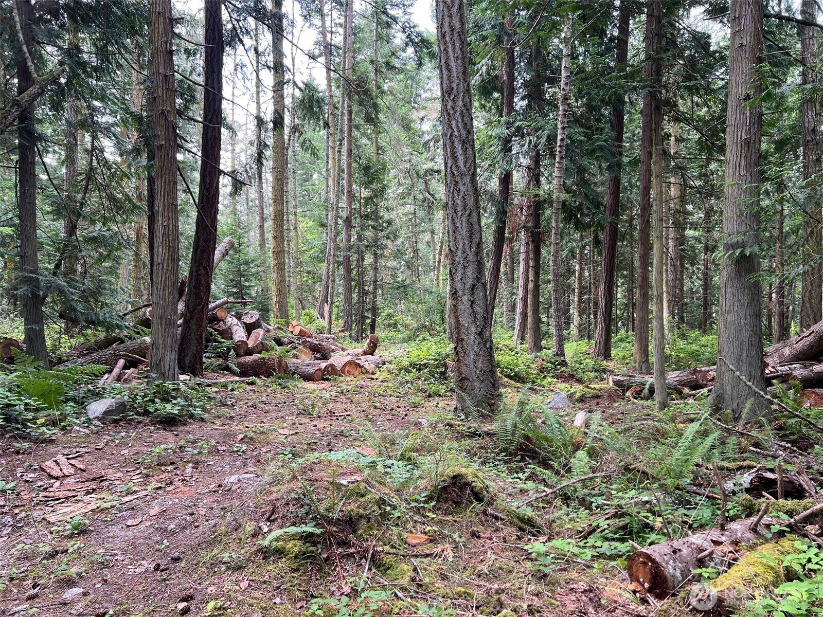 Property Photo: 0 Wishkah Lane WA 98221