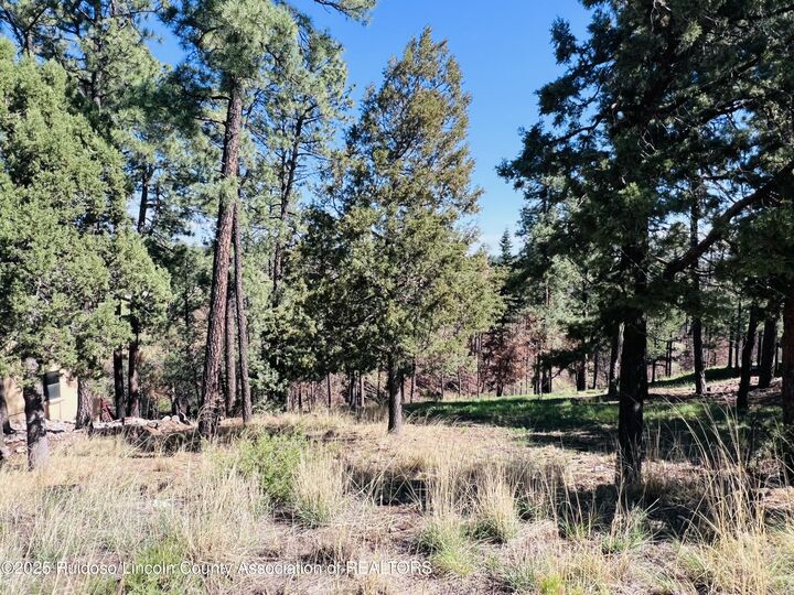 Lot 7 High Mesa Road  Alto NM 88312 photo