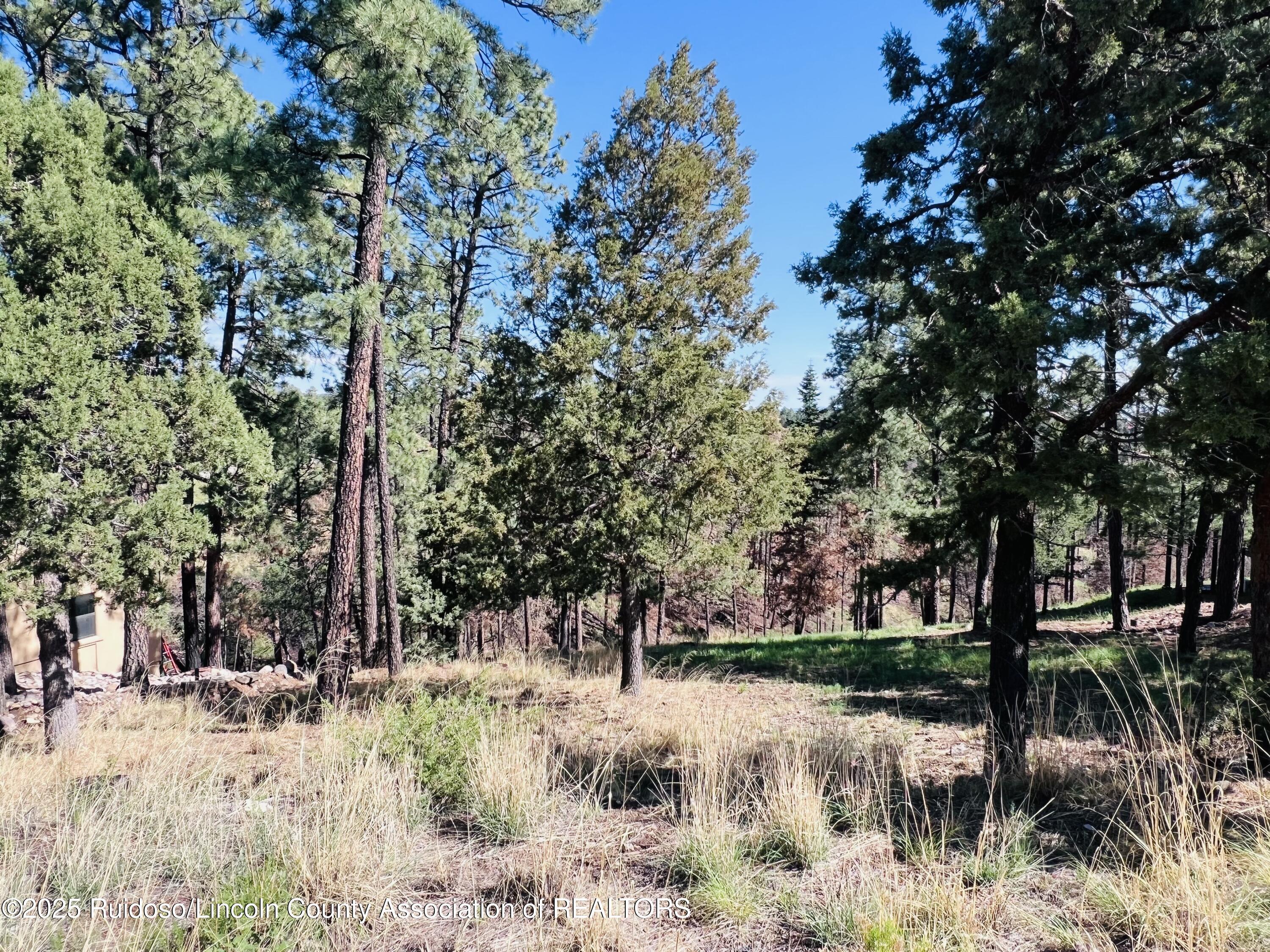 Property Photo:  Lot 7 High Mesa Road  NM 88312 