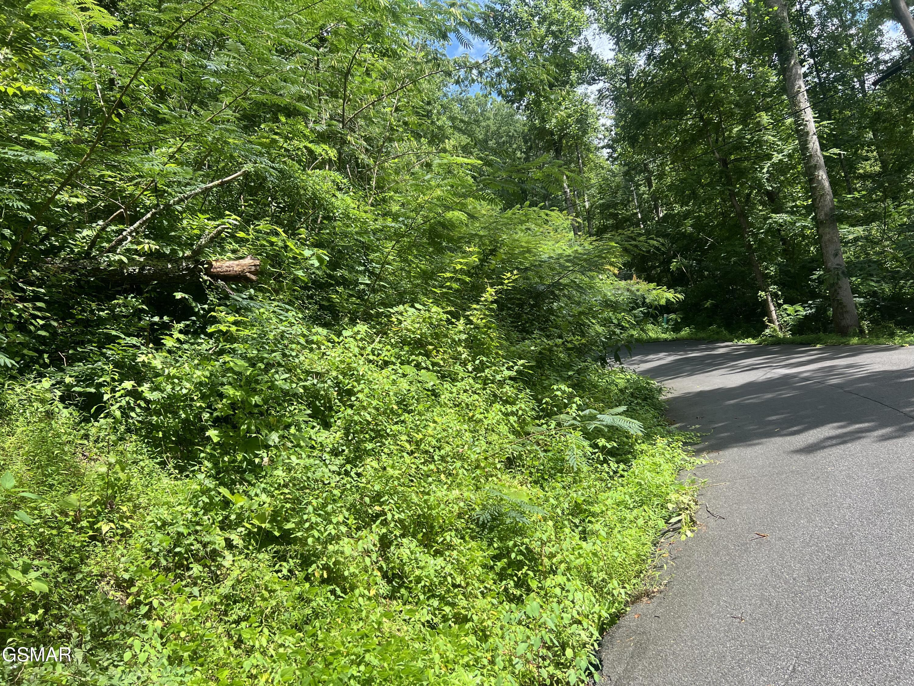 Property Photo: 752 Loop Road TN 37738