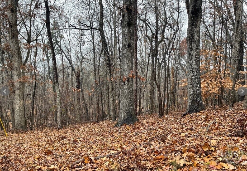 Property Photo:  Lot 2134 S Arrowhead Drive  SC 29693 