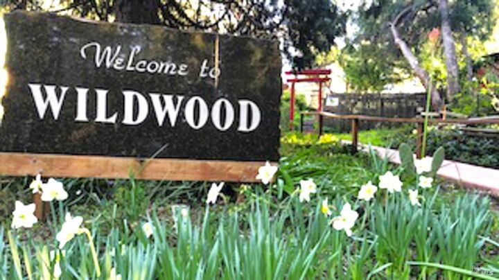 Property Photo:  20111 Old Cazadero Road  CA 95446 