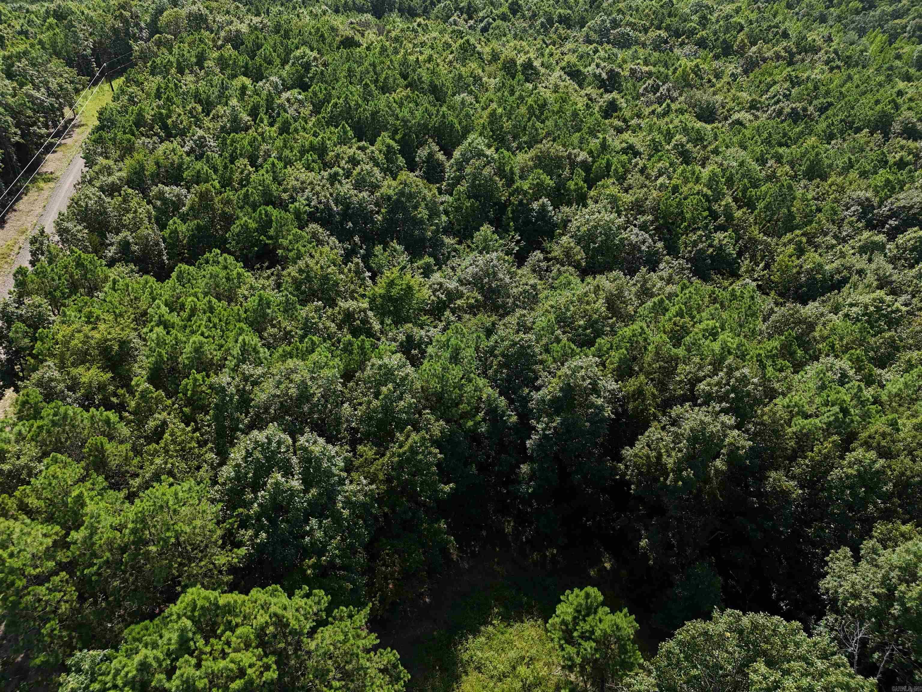 Property Photo:  Lot 12 Polk Road 78  AR 71953 