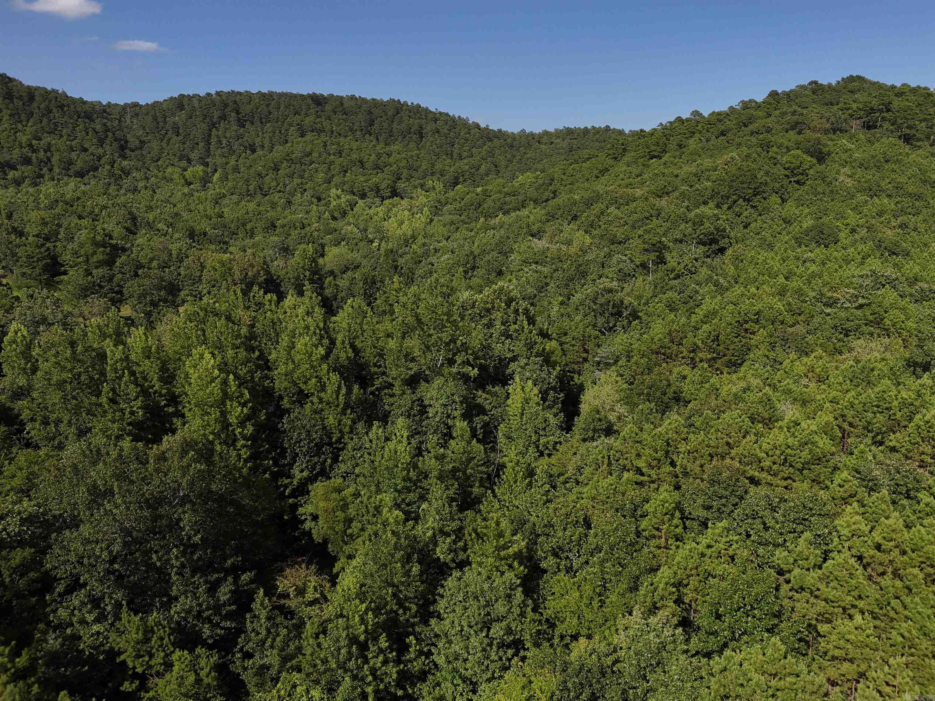 Property Photo:  Lot 17 Polk Road 78  AR 71953 