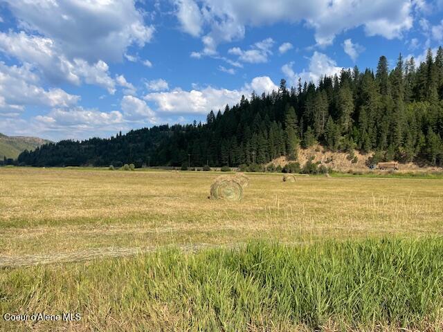 Property Photo: 12412 St Joe River Rd ID 83861