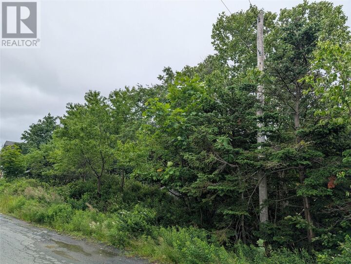 11 Parsons Place  Foxtrap NL A1X 7B9 photo