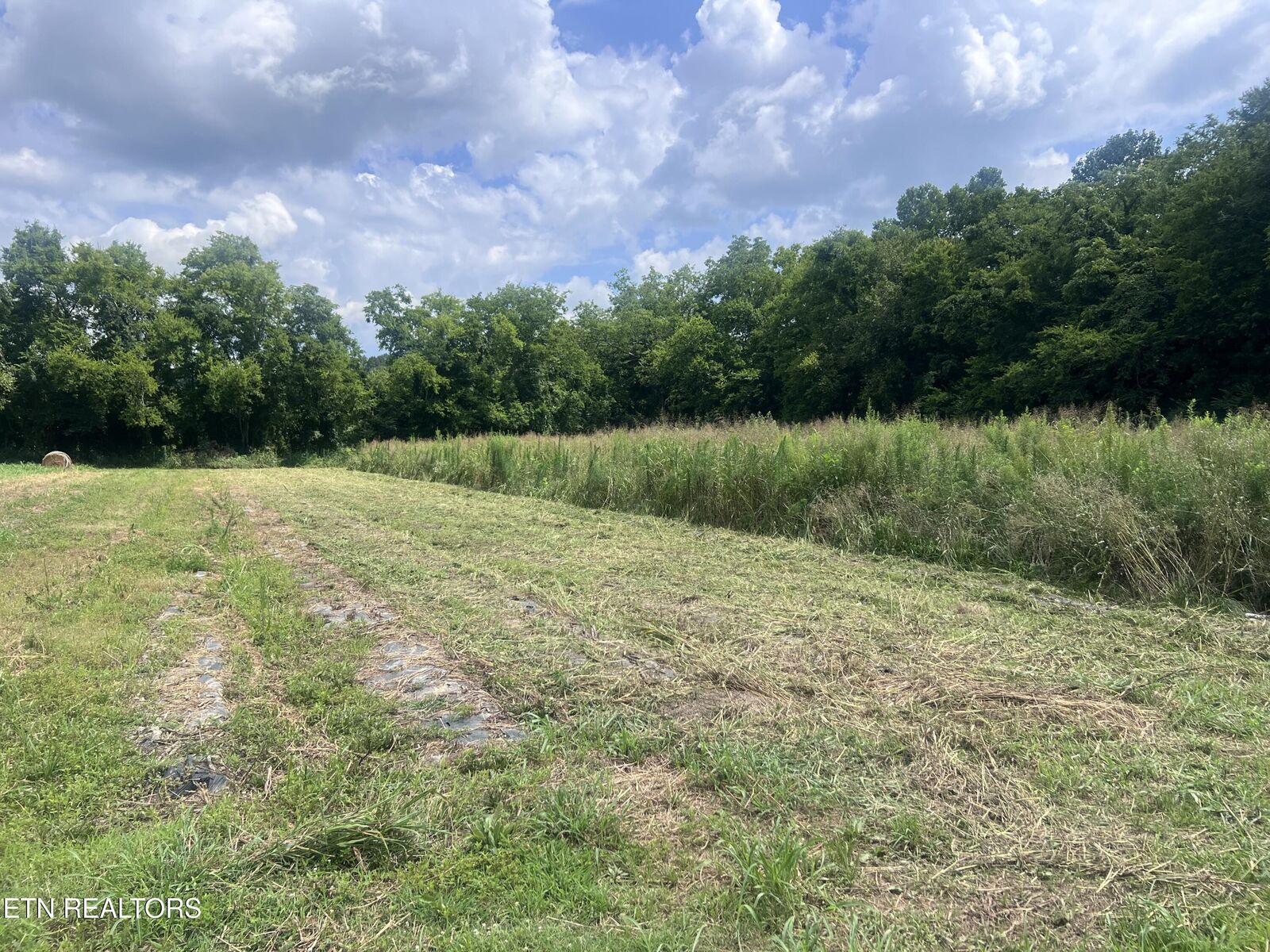 Property Photo:  Nibor Way  TN 37821 