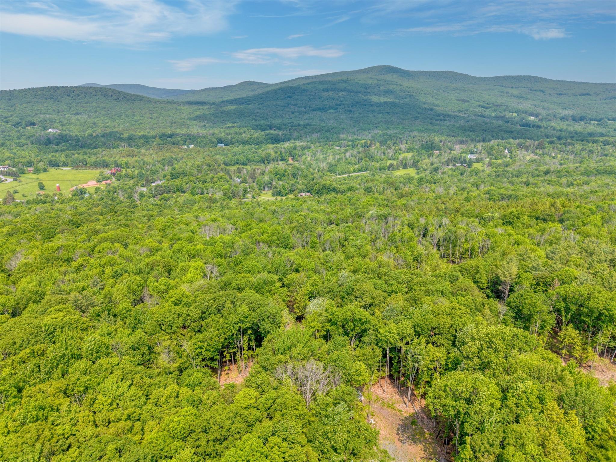 Property Photo: Tbd Boulder Brook Lots 33-38 Road NY 12496