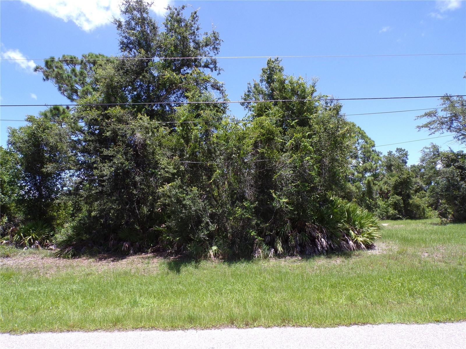 Property Photo: 160 Baytree Drive FL 33947