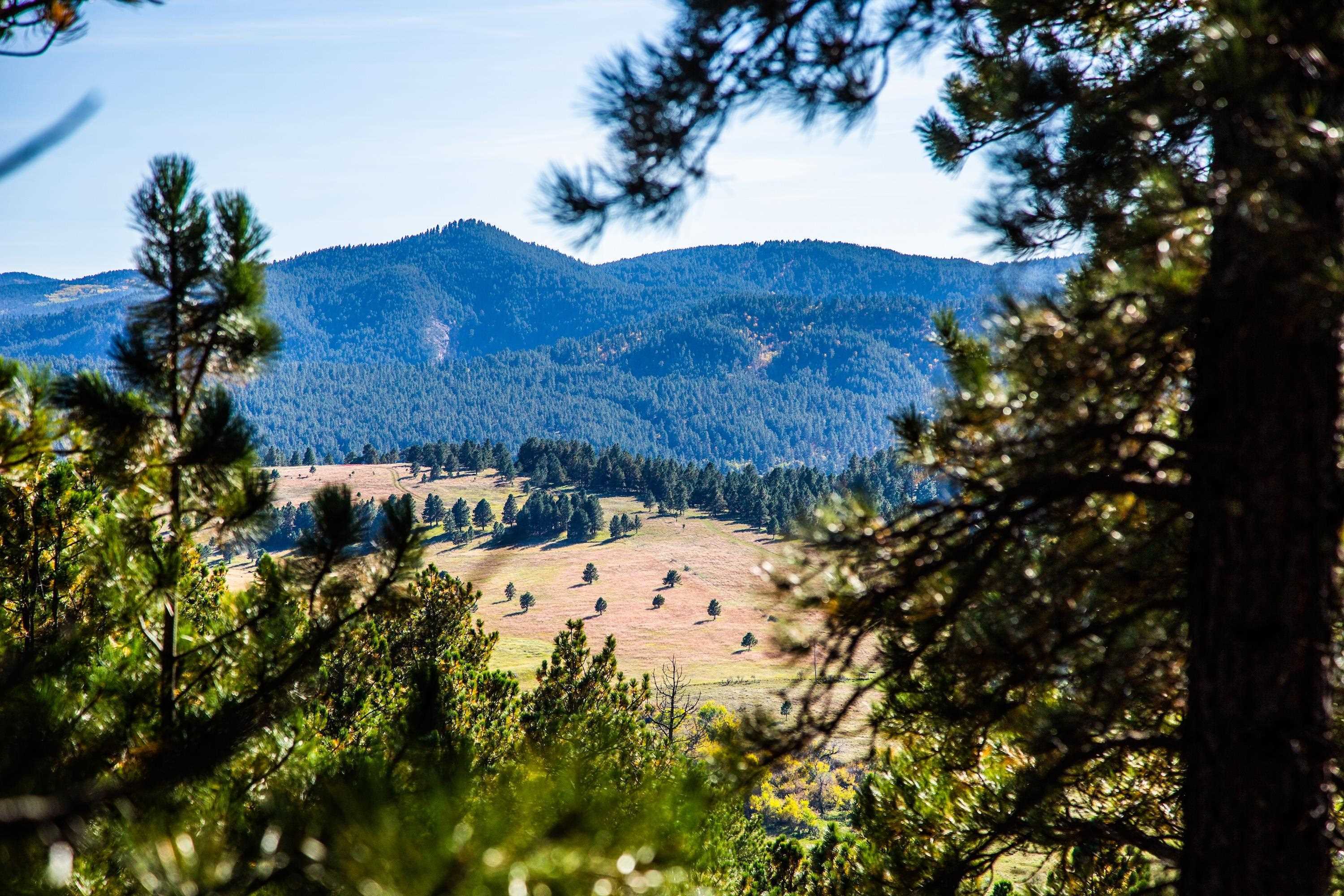 Property Photo: Lot 4 Three Peaks Pass SD 57793
