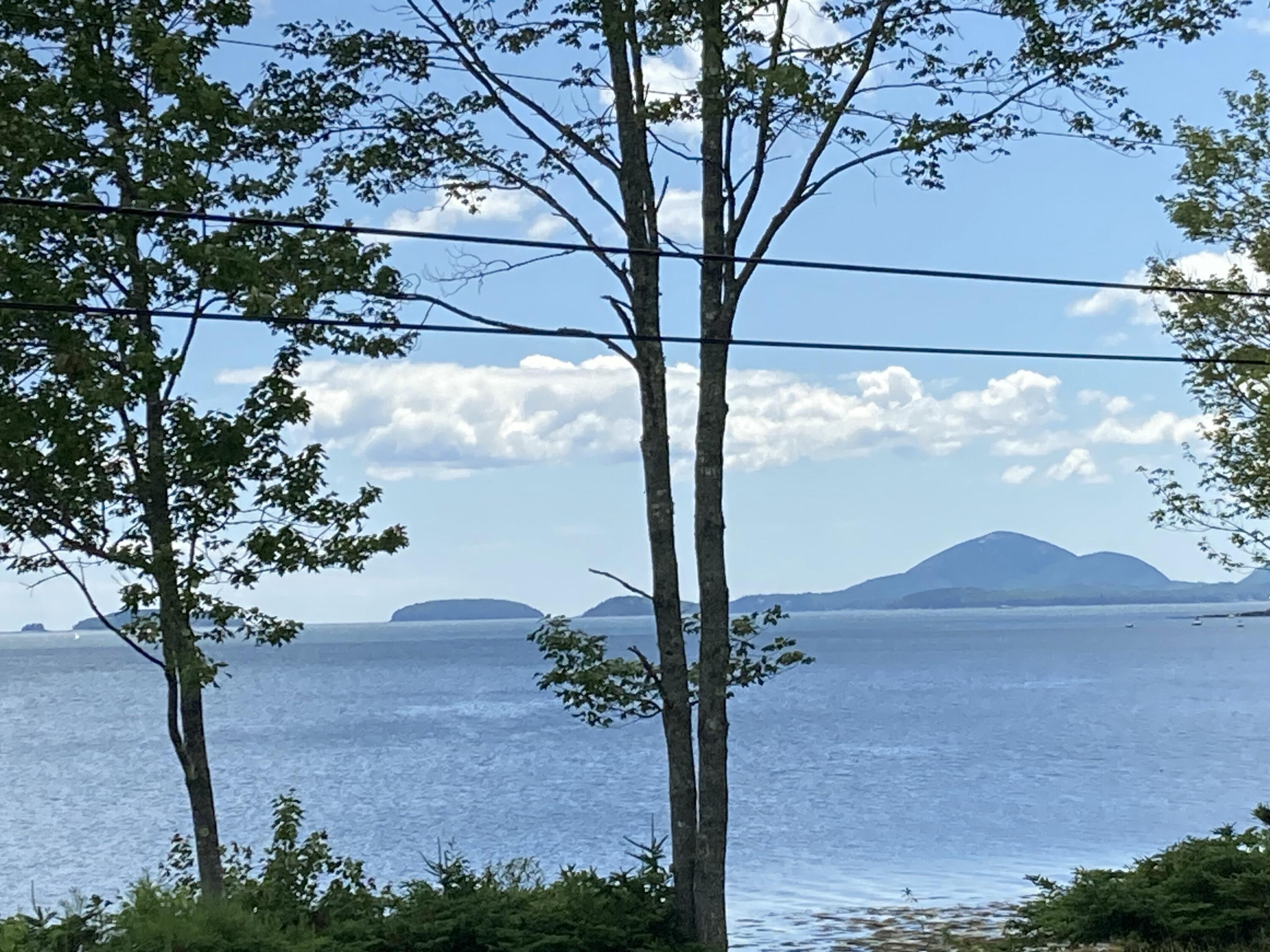 Property Photo:  157 Jellison Cove Road  ME 04640 