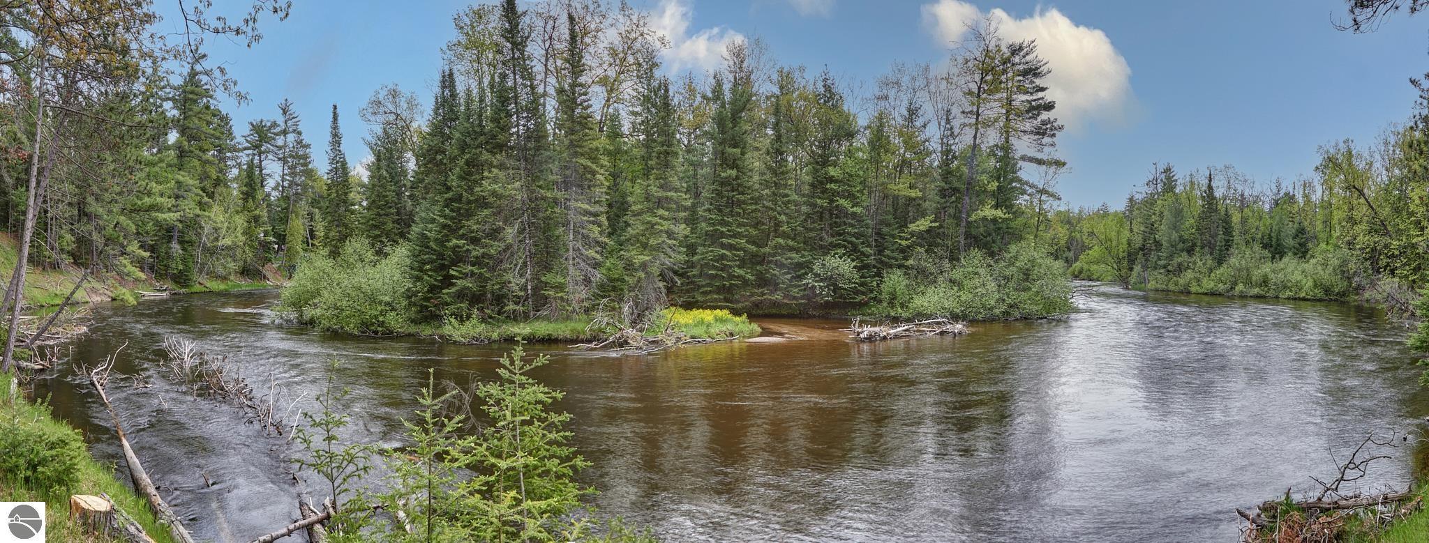 Property Photo:  11208 Red Dog Trail  MI 49738 