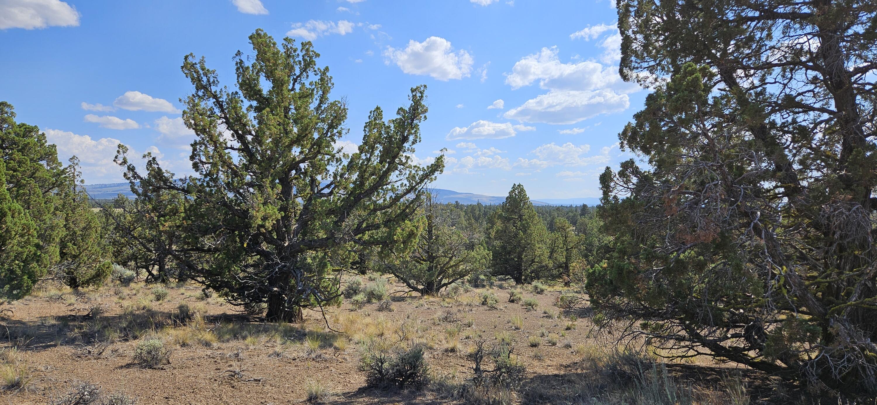 Property Photo: SE Sycamore Lane OR 97754