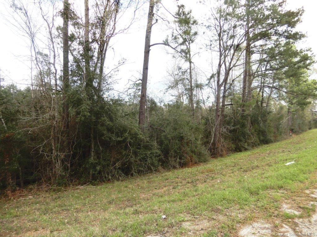 Property Photo: Highway 190 Highway LA 70651