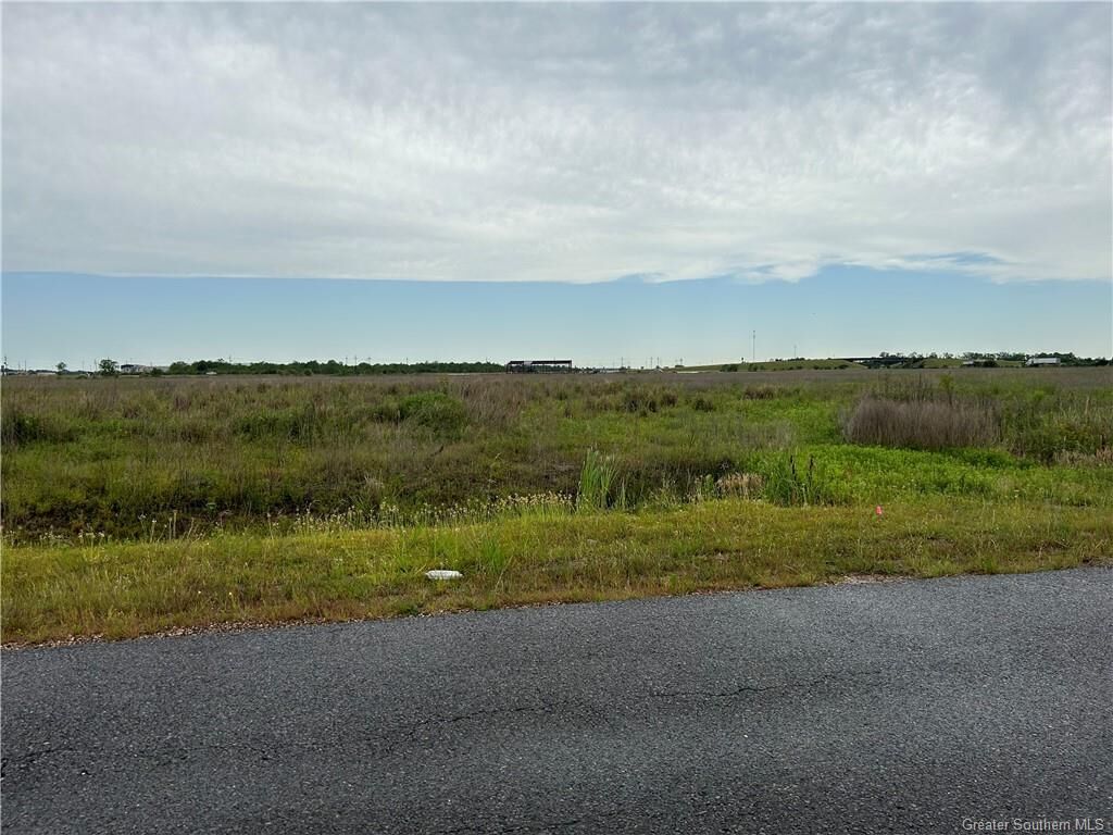 Property Photo:  Main Street  LA 70650 