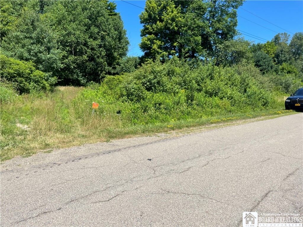 Property Photo:  Mead Road  NY 14701 