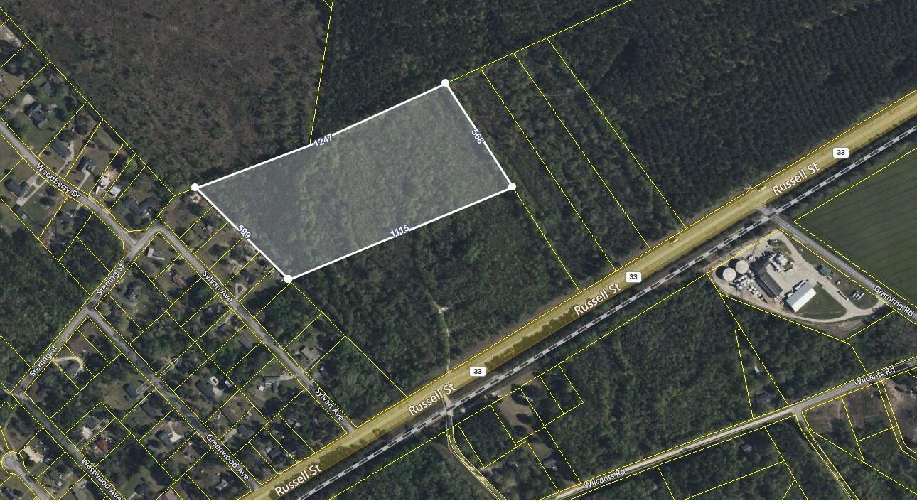 Property Photo: 0 Russell/ Hwy 33 Street SC 29115