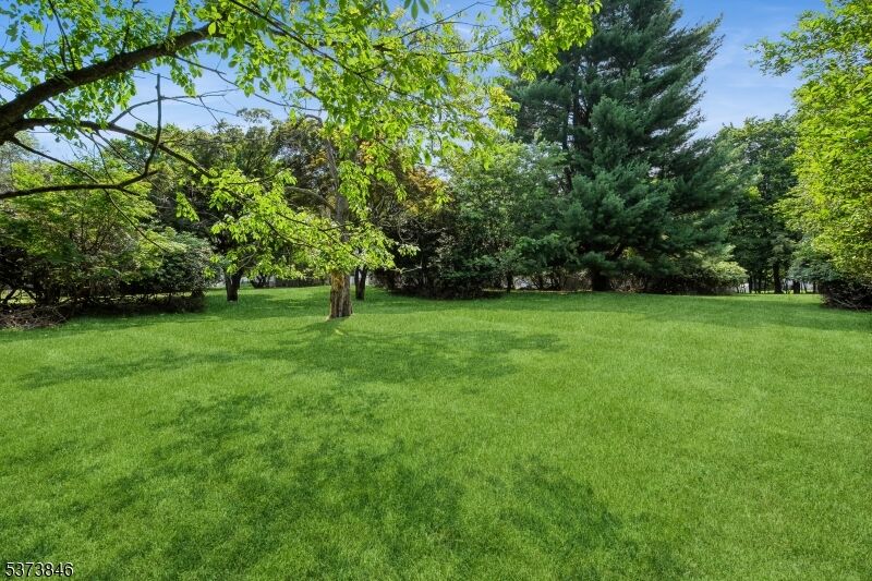 Property Photo:  54 Fairview Ave  NJ 07044 