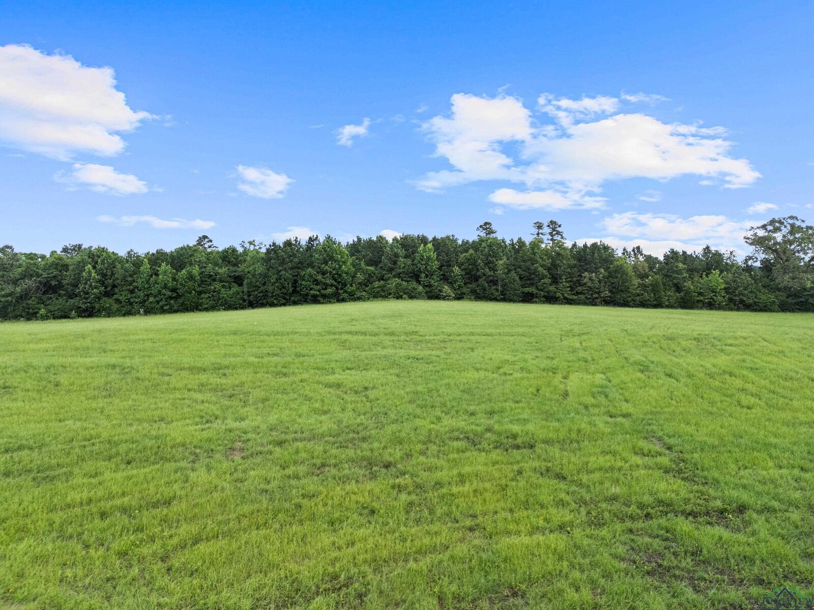 Property Photo: Tbd Crystal Farms Rd TX 75691