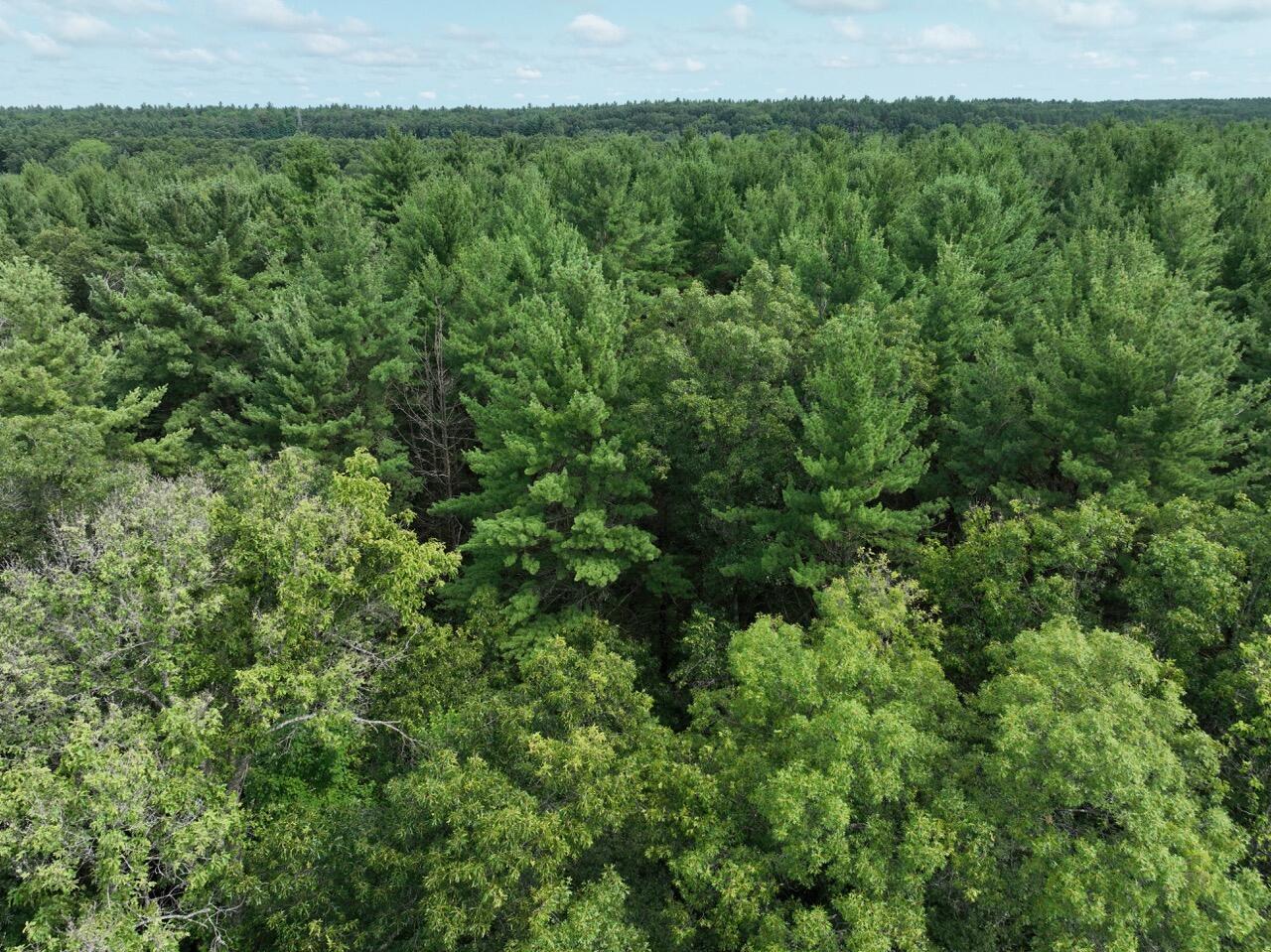 Property Photo:  E V/L 48th  MI 49337 