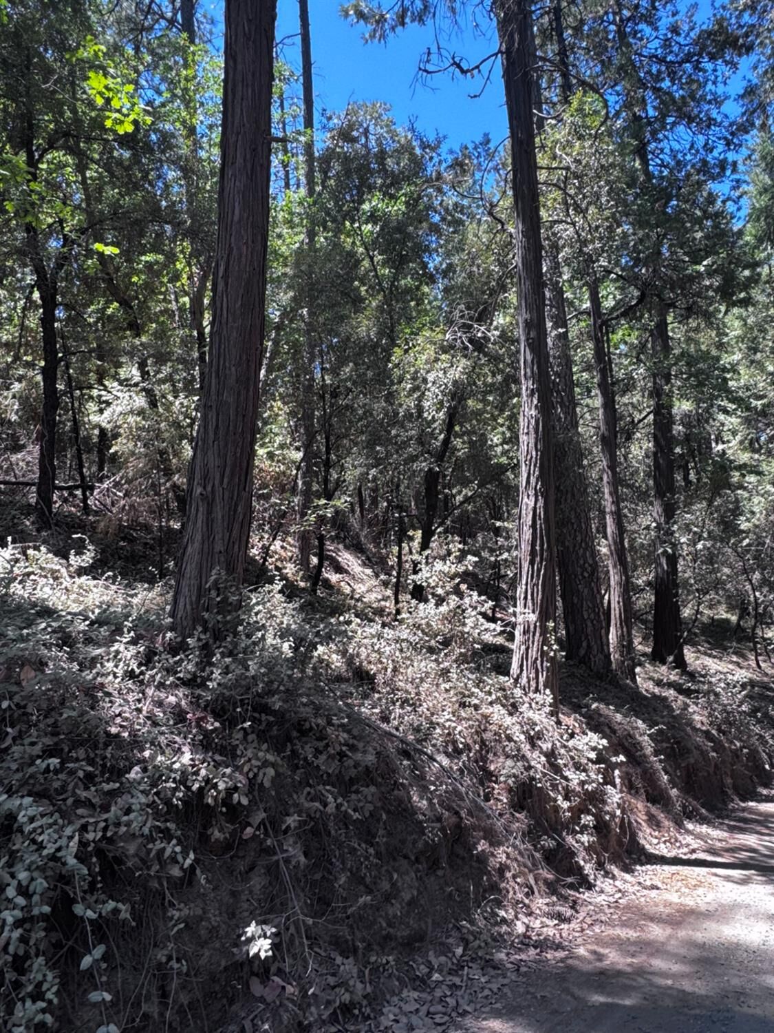 Property Photo:  14763 Mitchell Mine Road  CA 95665 