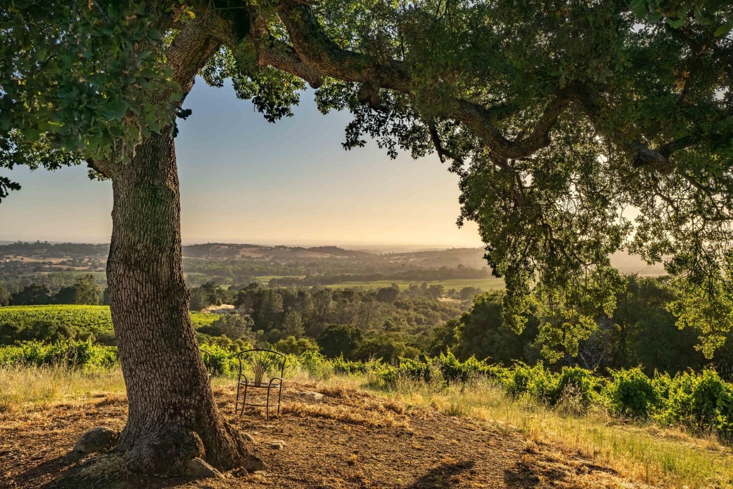Property Photo:  18550 Silver Oak Lane  CA 95669 