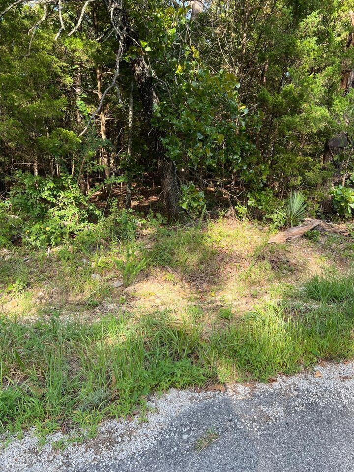 Property Photo: 1220 Cedar Lake Drive AR 72512