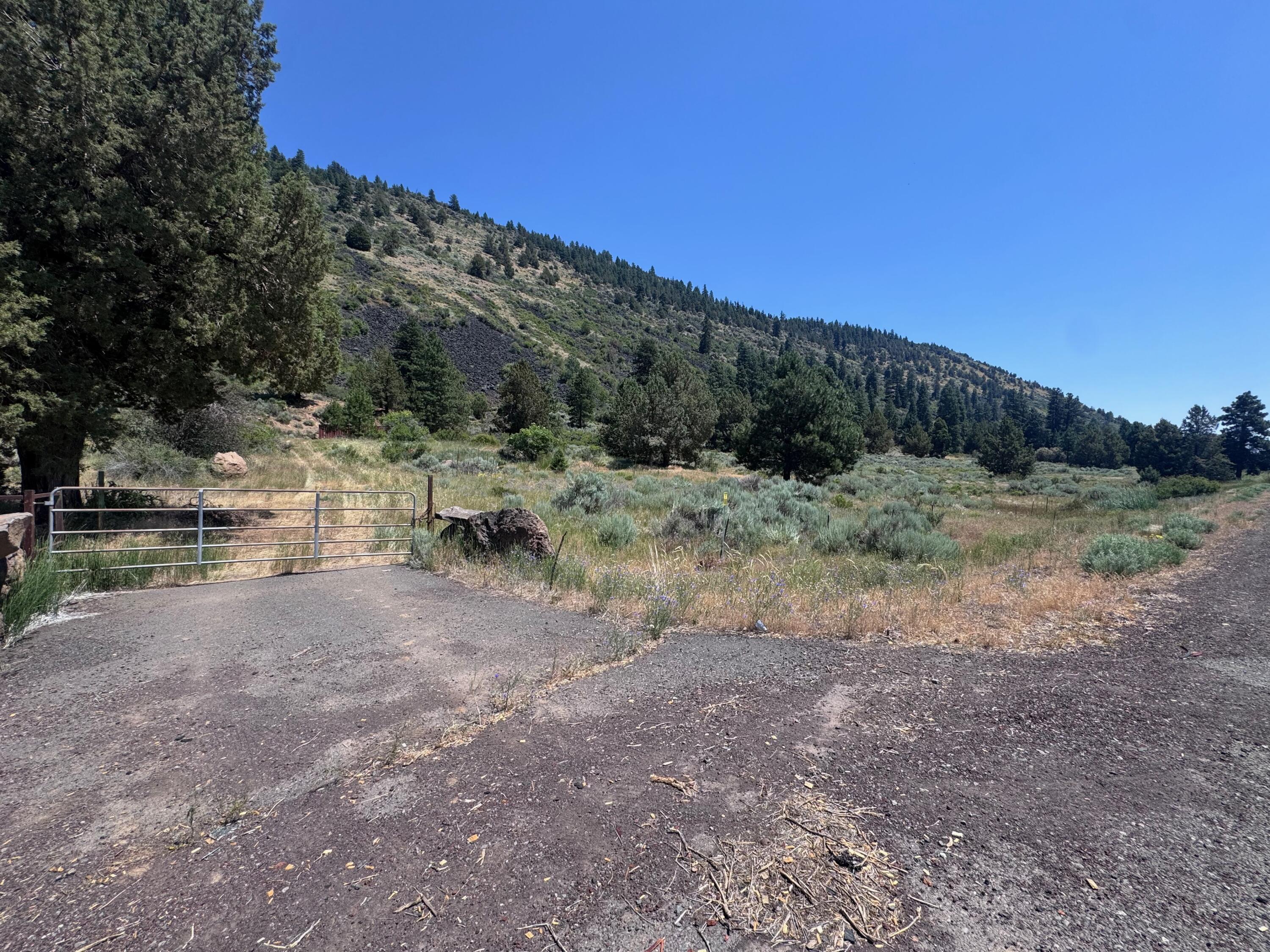 Property Photo:  0 Hwy 97 N  OR 97624 