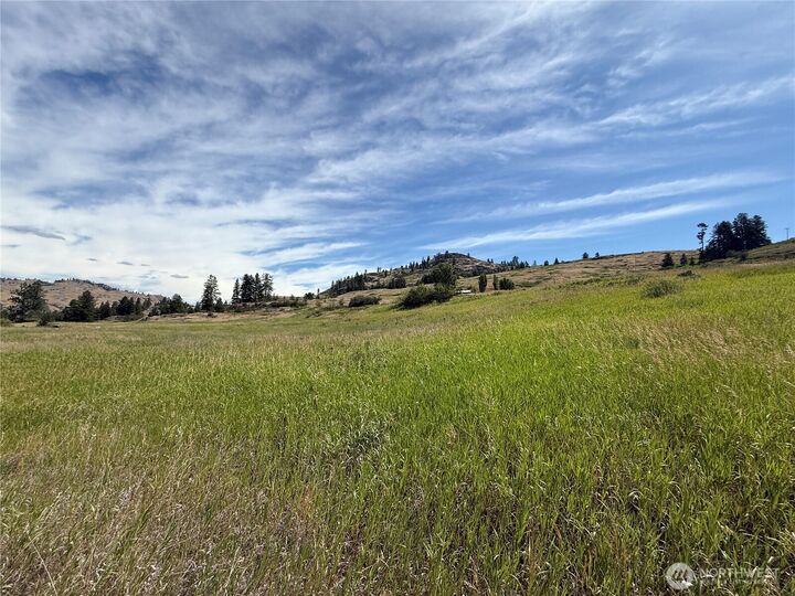 Property Photo: 0 Tbd Long Alec Creek Road WA 99118