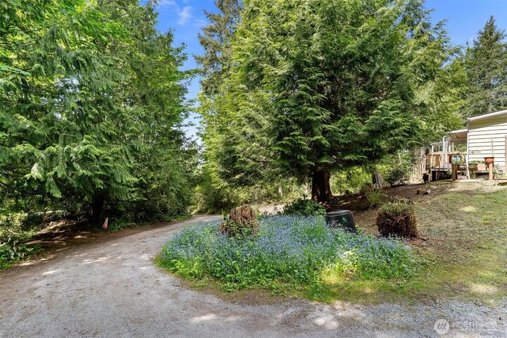 987  Rowe Road  Camano Island WA 98282 photo