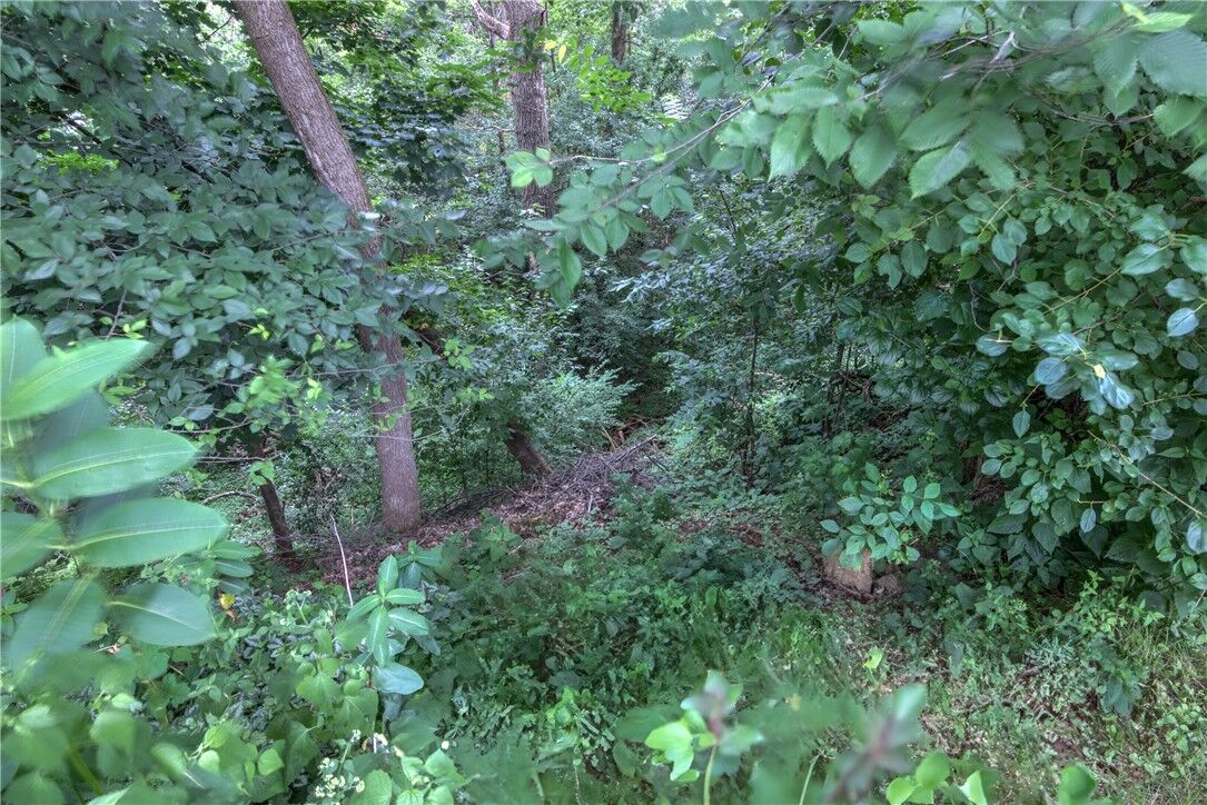 Property Photo: Lot 4 North Street WI 54729