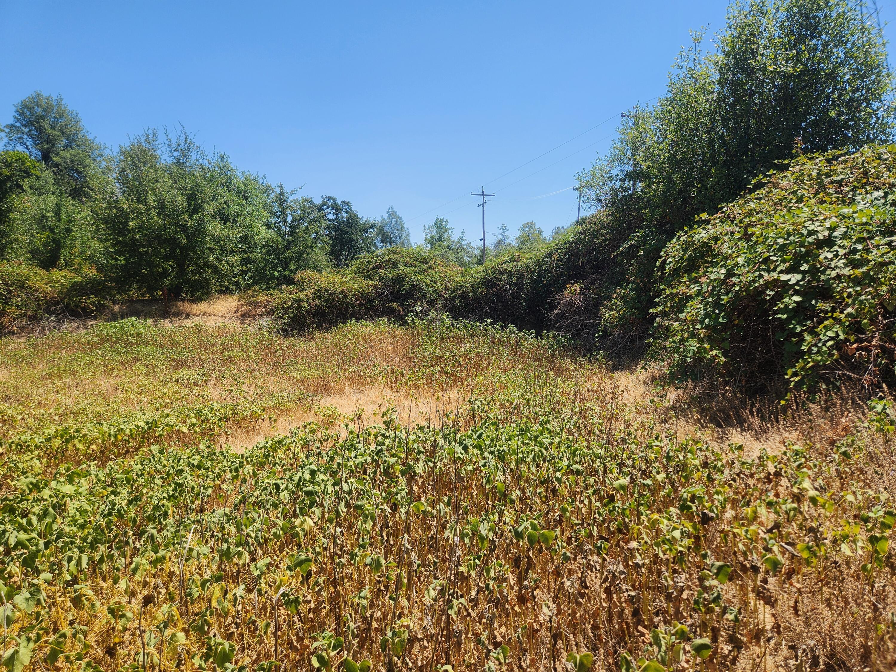 Property Photo: Thompson Lane CA 96001