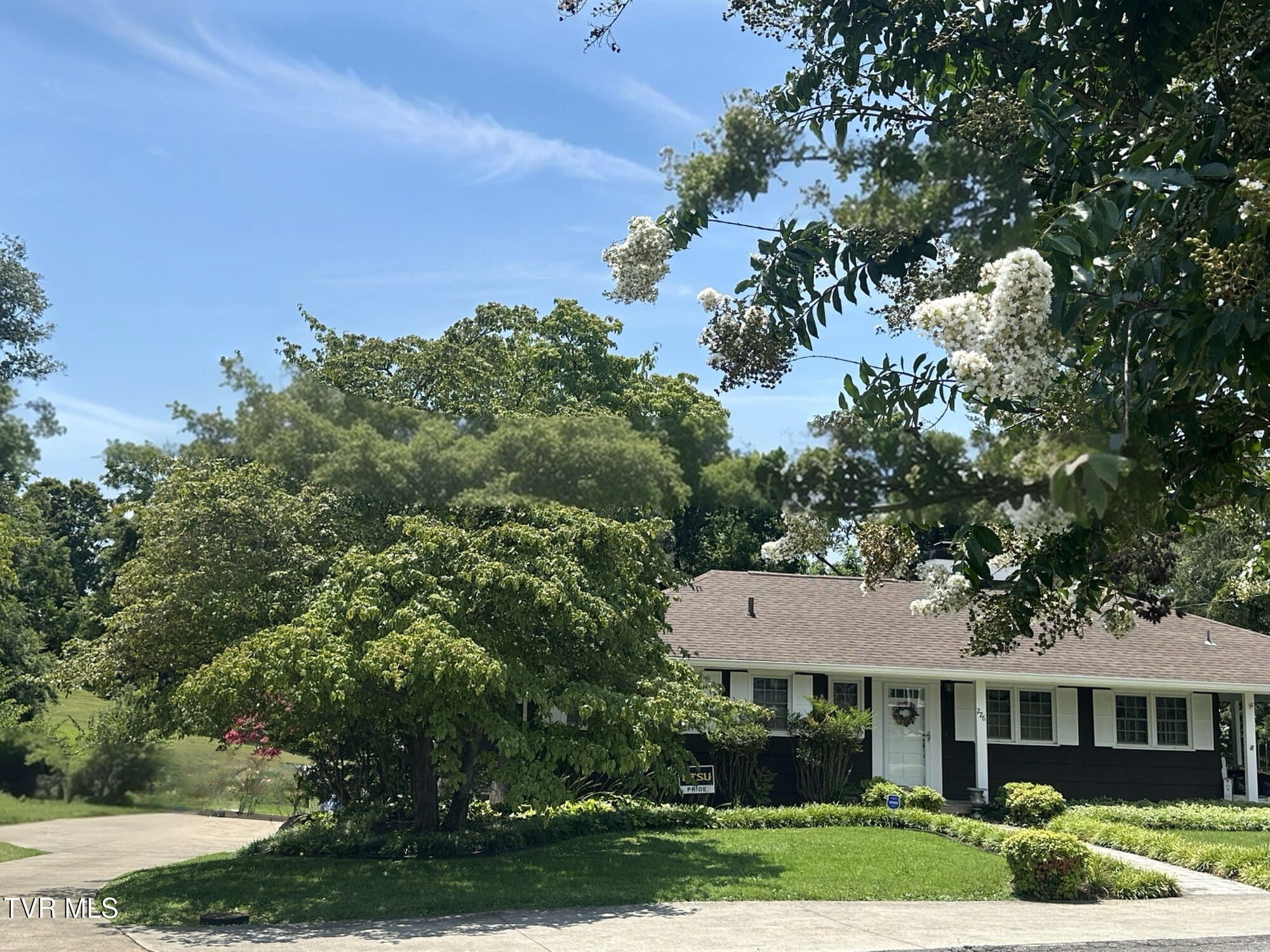 Property Photo:  226 Susong Lane  TN 37743 