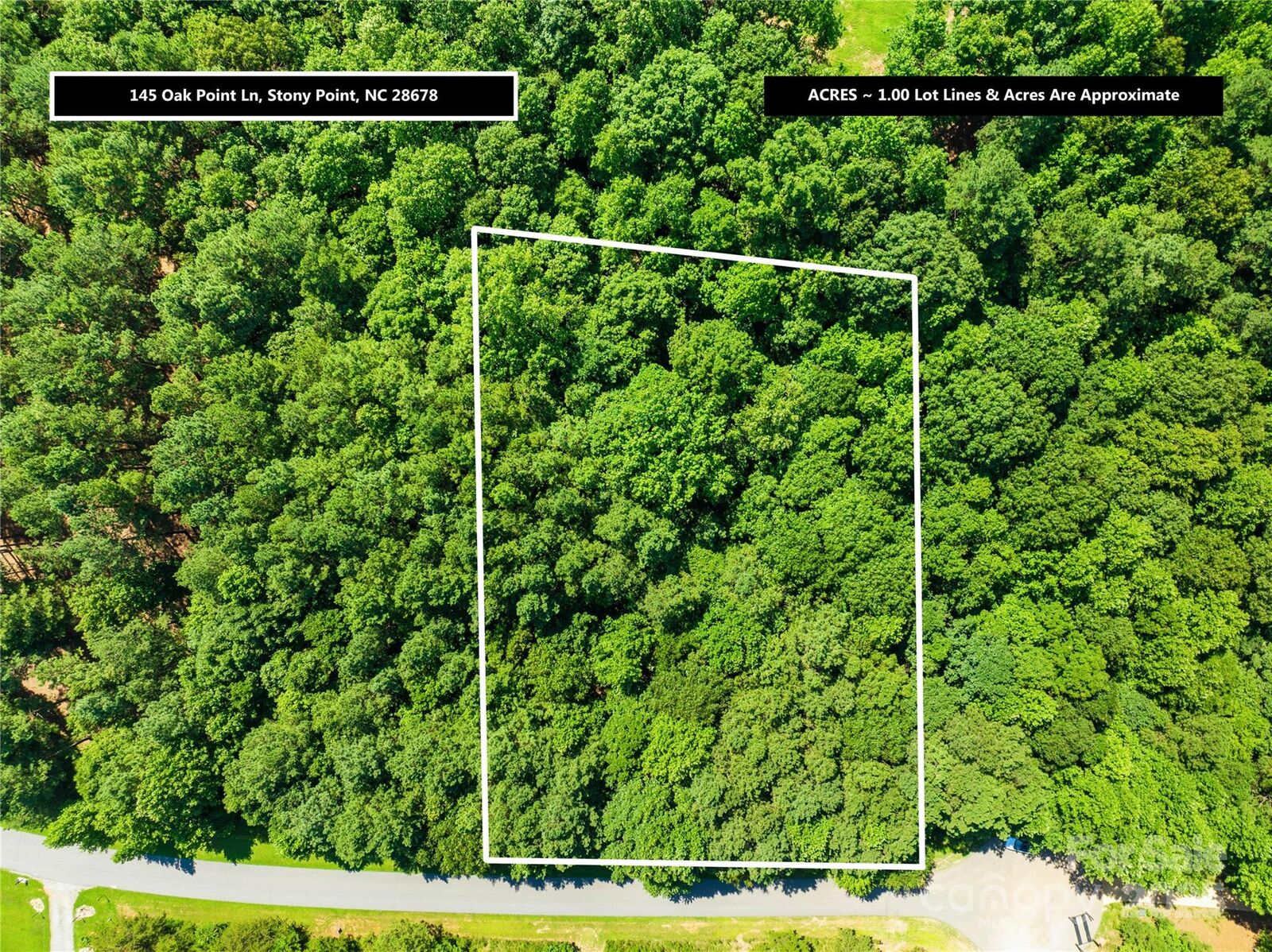 Property Photo:  145 Oak Point Lane  NC 27028 