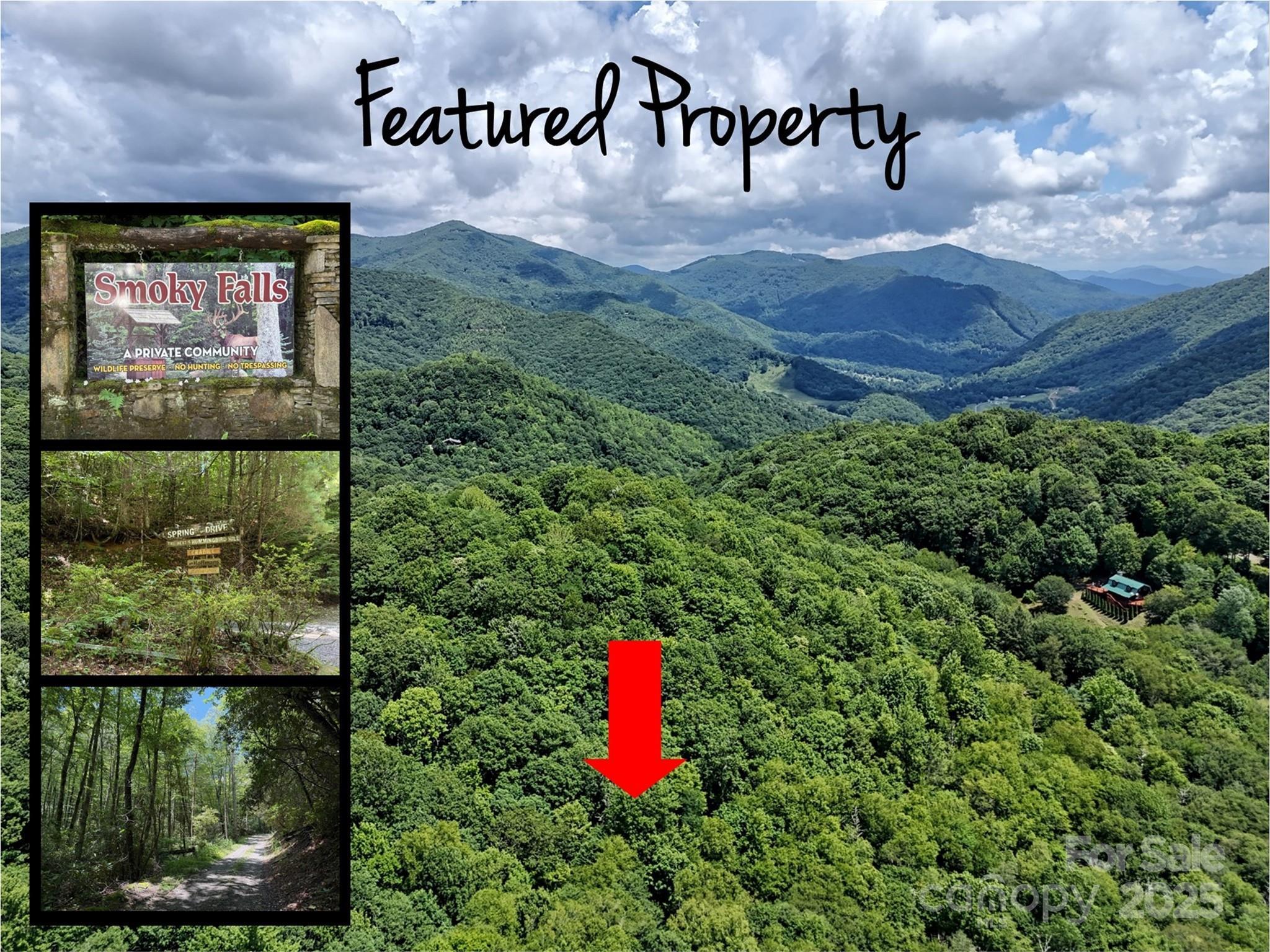 Property Photo:  Lot #67 Spring Drive  NC 28751 