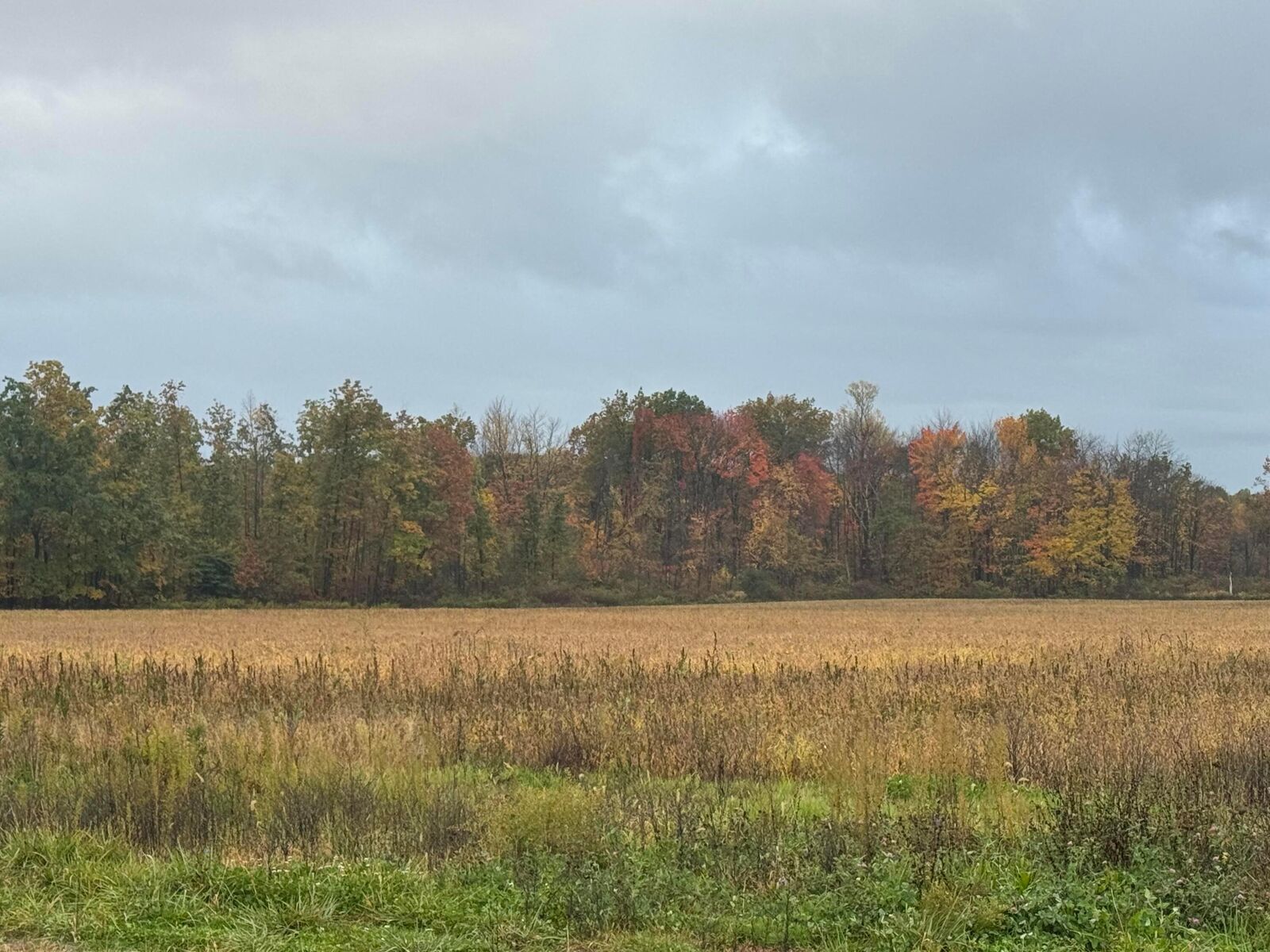 Property Photo: 0 Lampson Road OH 44010