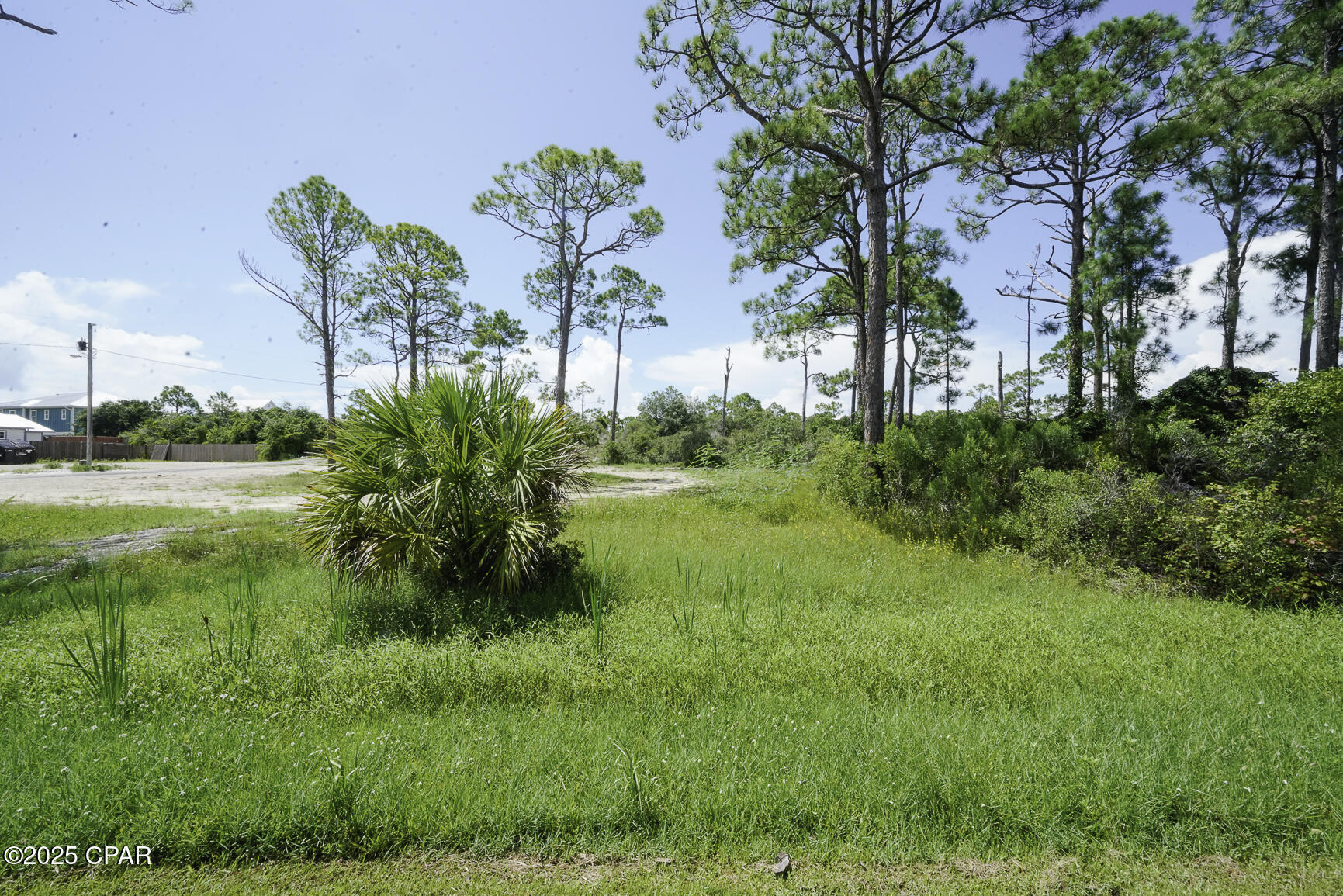 Property Photo: Tbd Cape San Blas Road FL 32456