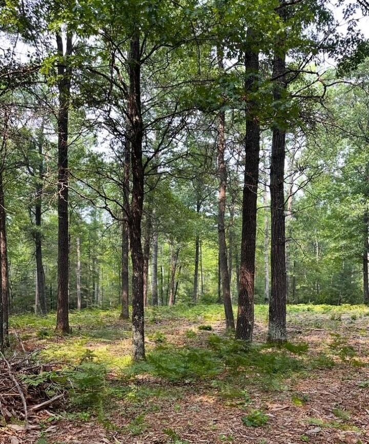 Property Photo: 2.5 Acres County Road Y WI 54487