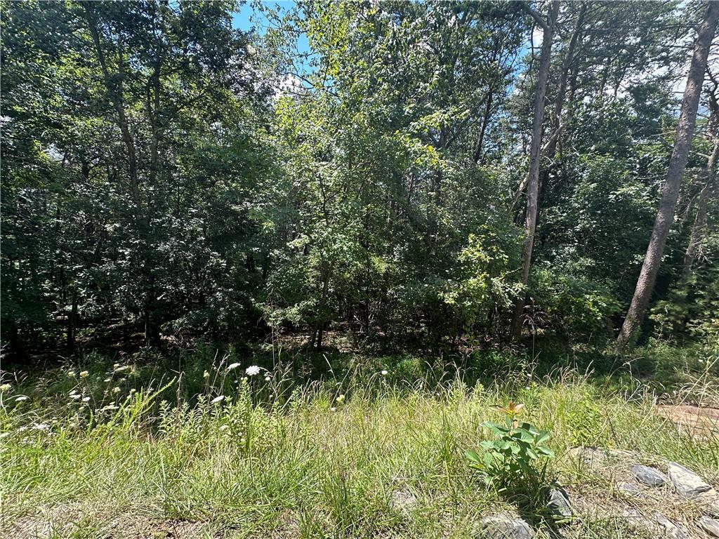 Property Photo:  0 Oak Trace E  GA 30143 