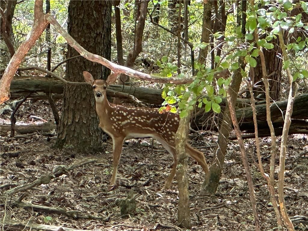 Property Photo:  0 Oak Trace E  GA 30143 