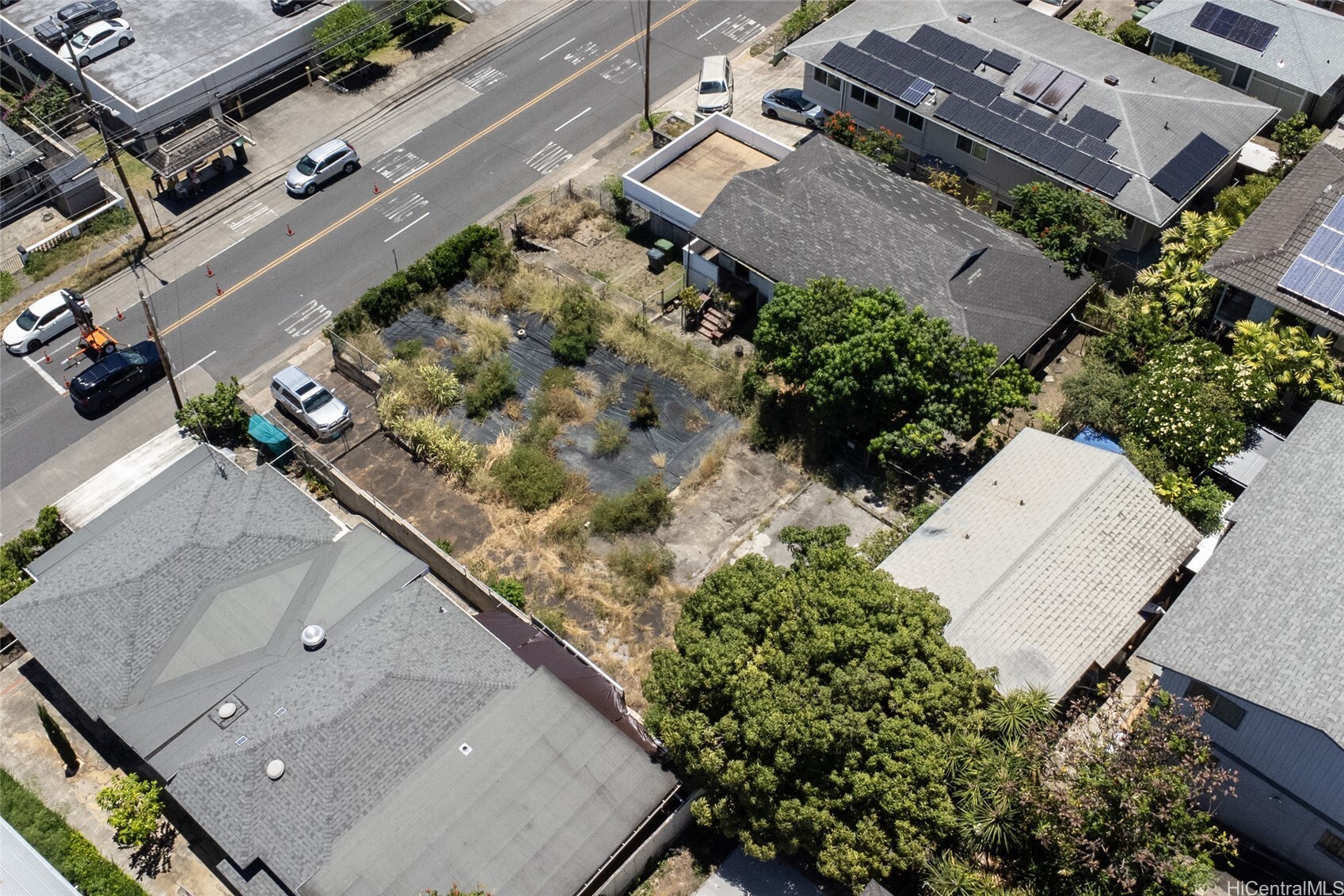 Property Photo:  1126 N School Street  HI 96817 