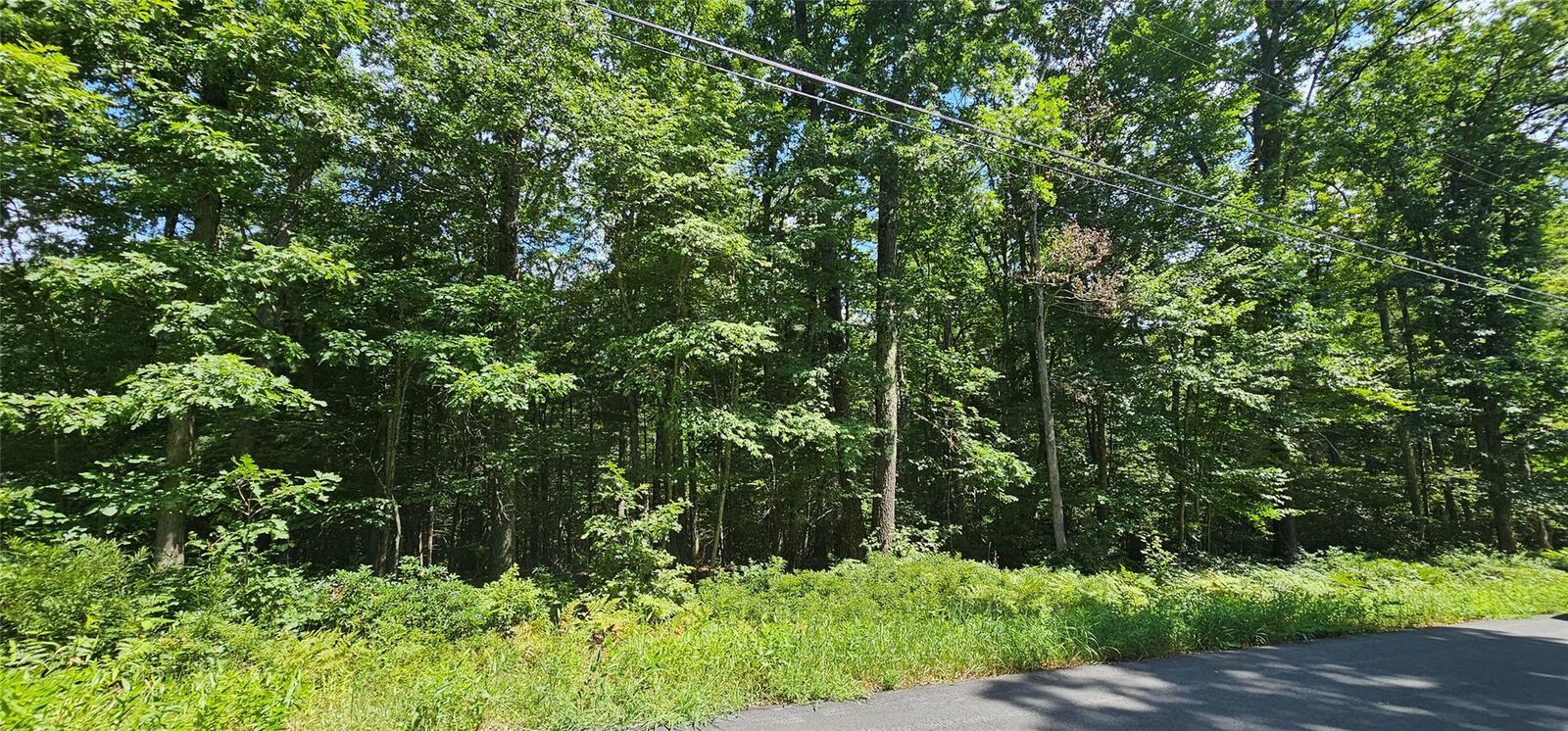 Property Photo: Lot 23.23 Perry Pond Road NY 12764