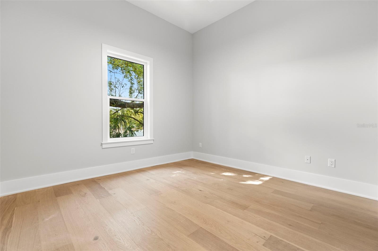 Property Photo:  220 Hesperides Street N  FL 33609 